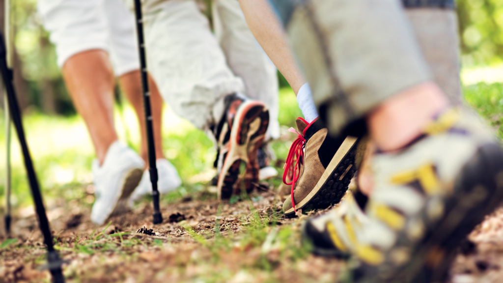 ćwiczenia na serce - nordic walking